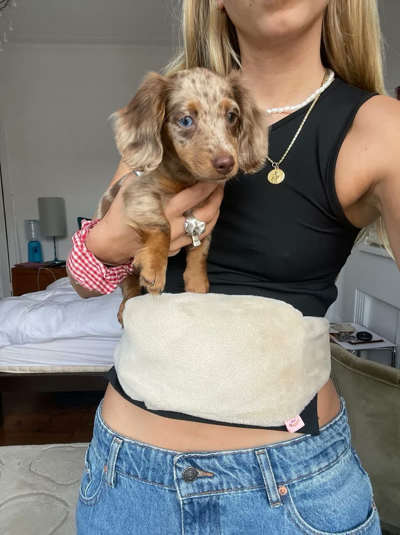 Donna con un cucciolo in braccio e Lovelle Hug in vita